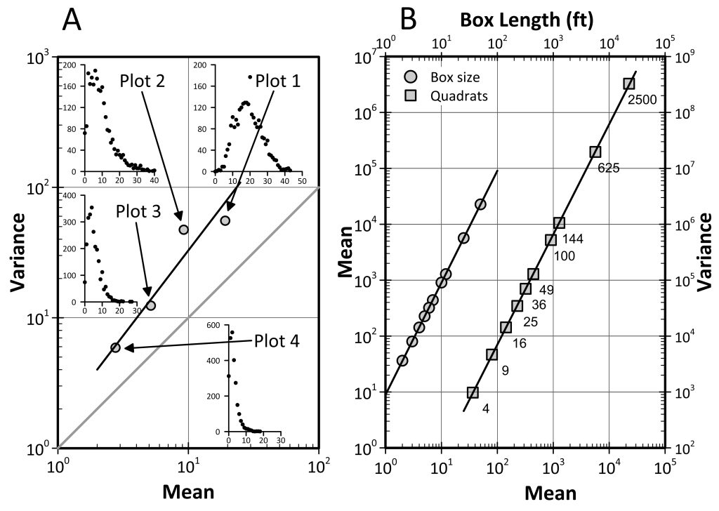 Plots demonstrating Taylor's Power Law created in Grapher