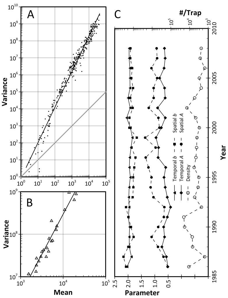 Plot demonstrating Taylor's Power Law created in Grapher