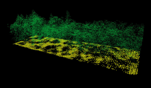 LiDAR point cloud created in Surfer